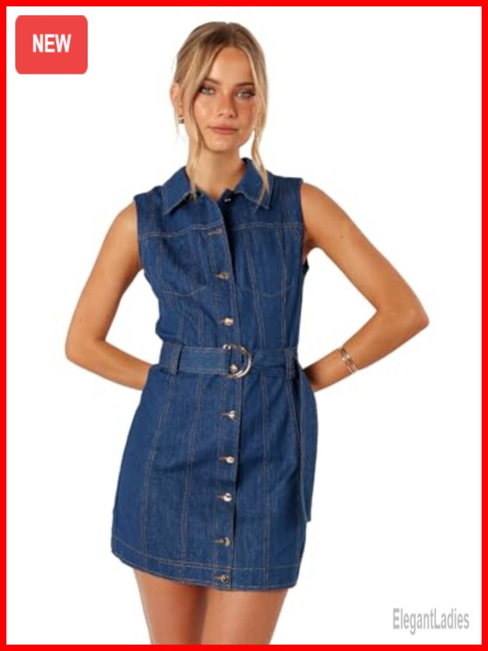 Petal & Pup Parker Mini Dress Spread Collar Button Front A-Line